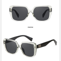 Kính Mát Thời Trang 2010 Tròng Polazoi HD