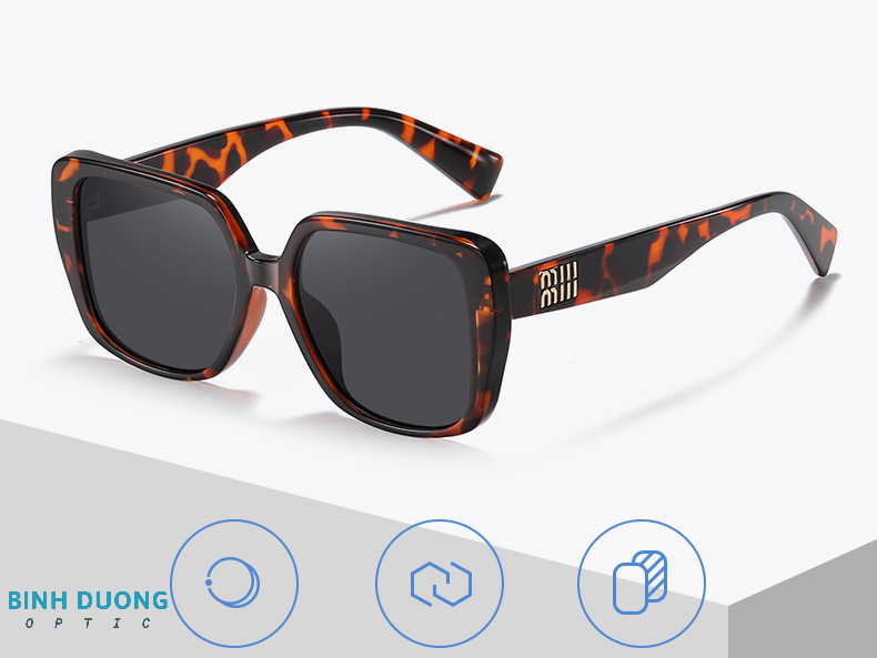 Kính Mát Thời Trang 2010 Tròng Polazoi HD