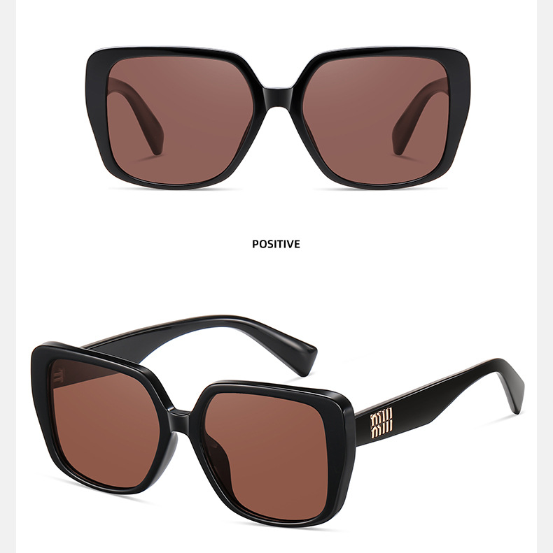 Kính Mát Thời Trang 2010 Tròng Polazoi HD