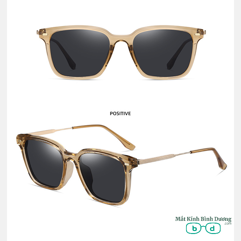 Kính mát thời trang 2207 Tròng Polazoi HD