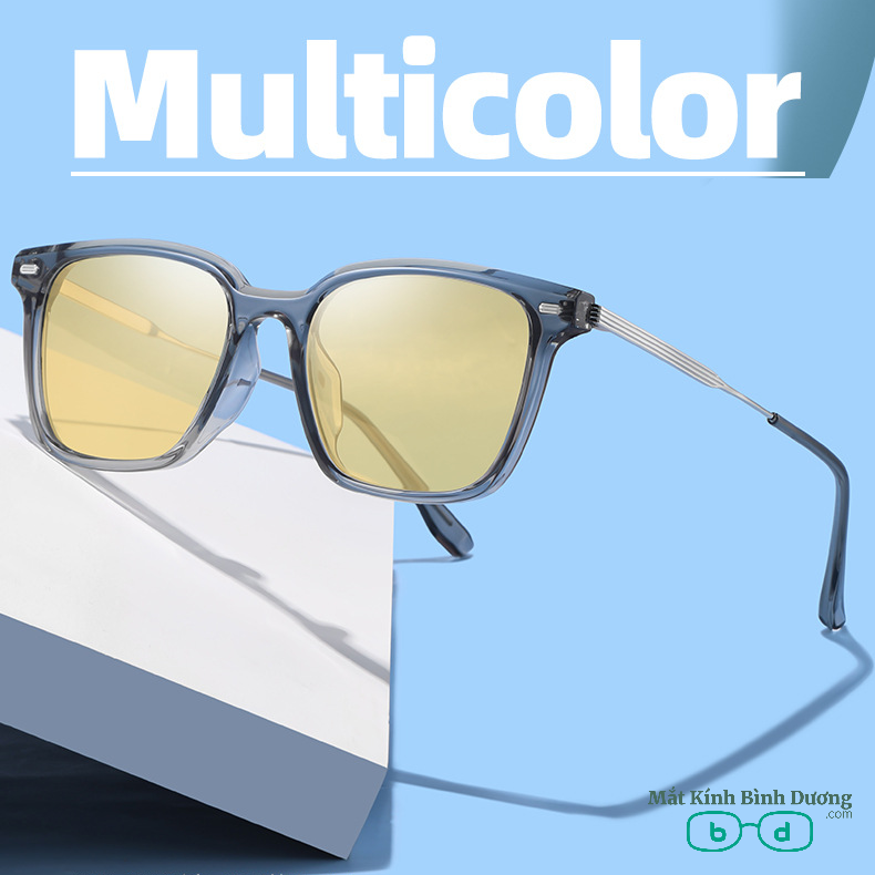 Kính mát thời trang 2207 Tròng Polazoi HD